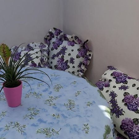 Mini Apartment Petra - Rooms Purple & Green With Kitchen And Garden Dubrovnik Exterior photo